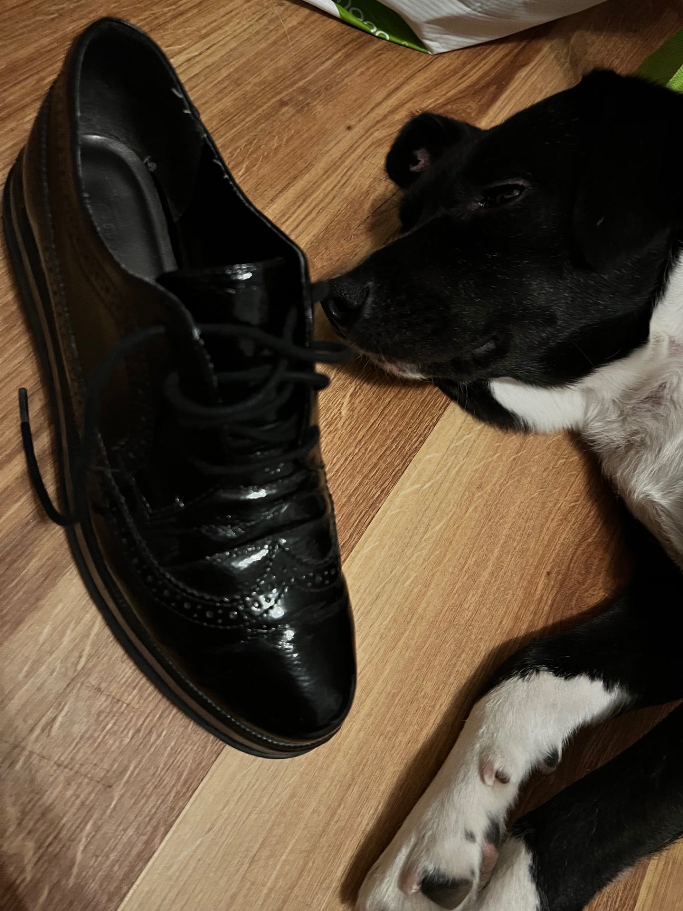 Tamaris Schnürschuhe Schwarz Größe: 40