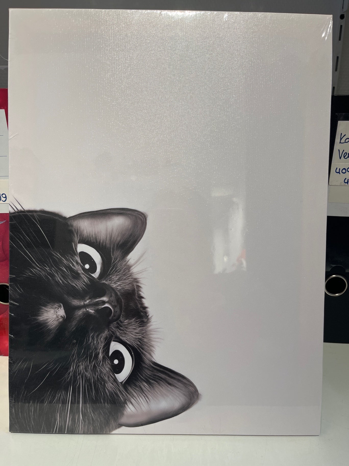 Katzenbild Leinwand