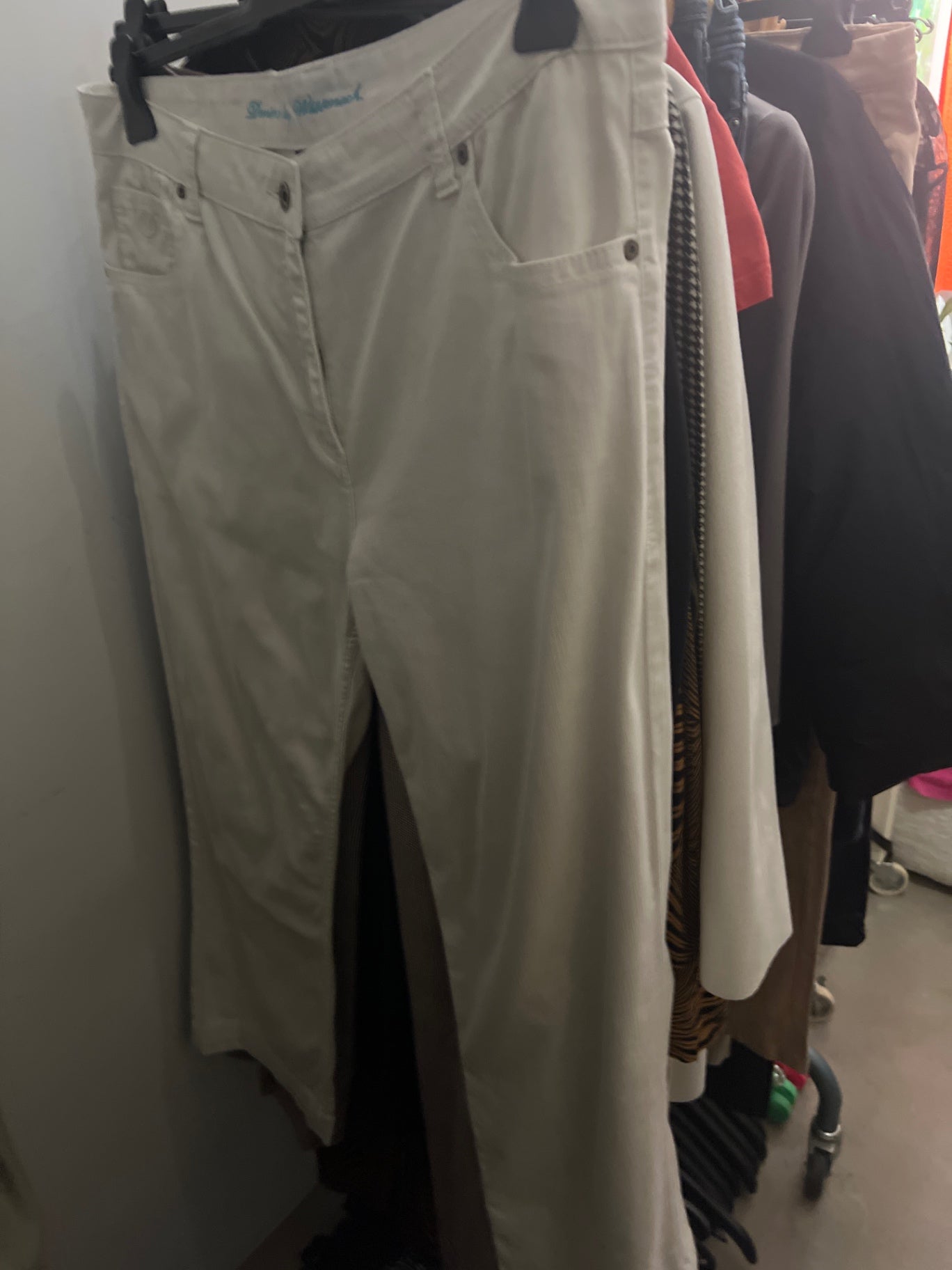 WISSMACH Hose Beige Gr.: 48
