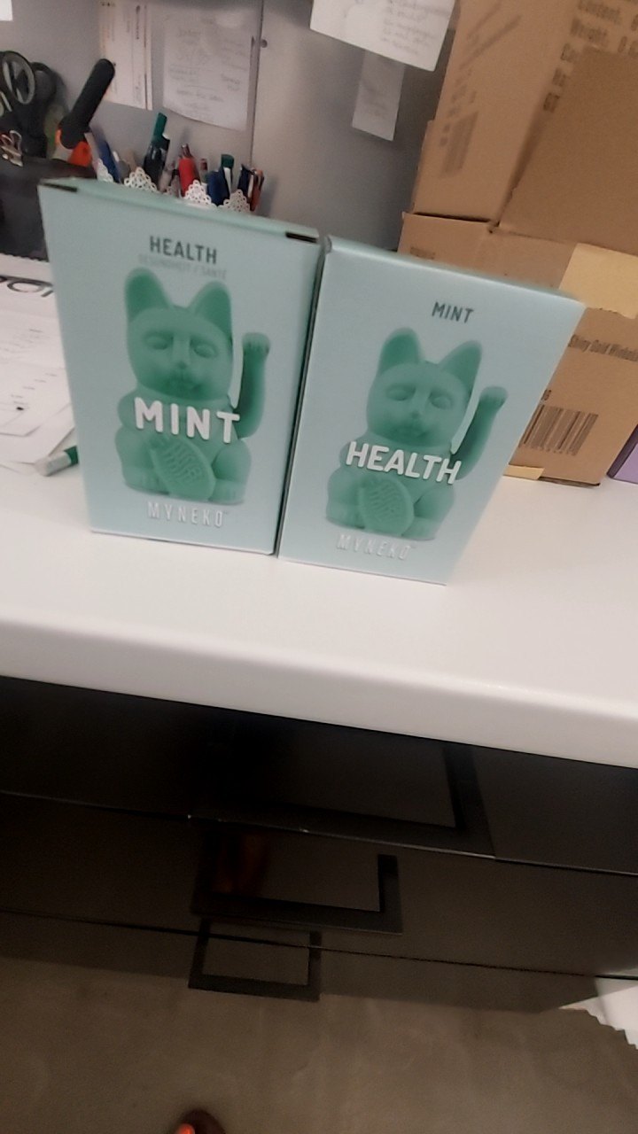 Donkey Winkekatze Mint Gr.: Mittel