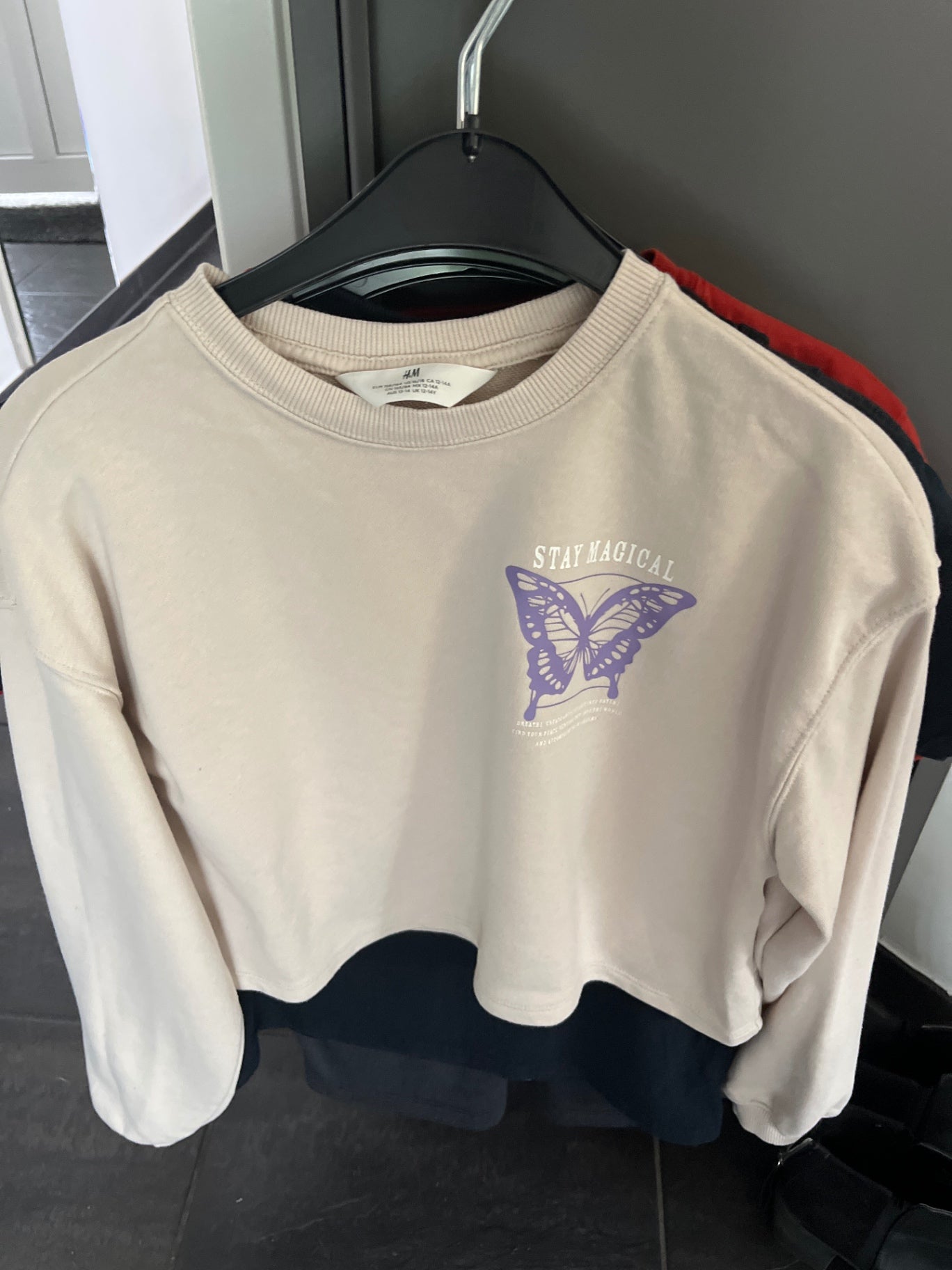 H&M Sweatshirt Beige, Schmetterling