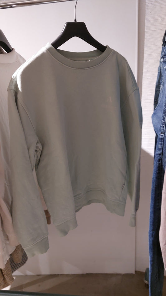 Anti Blue Pullover Hellgrün