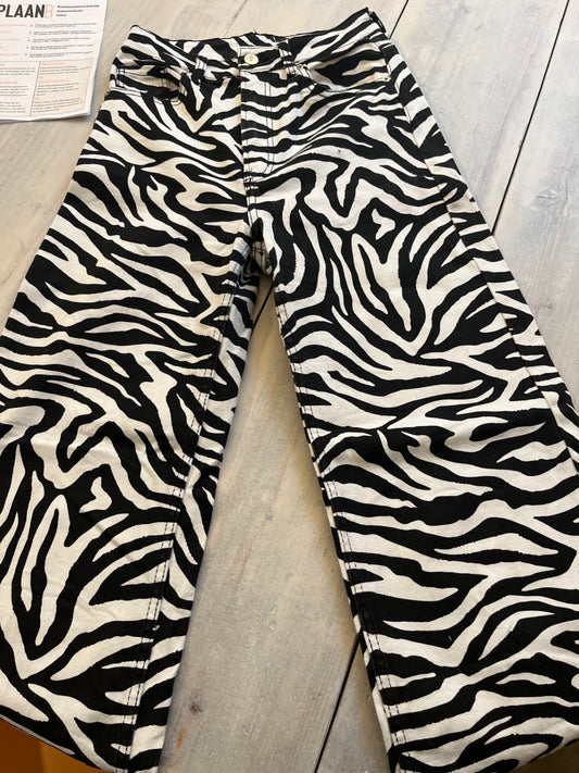 DIVIDED Hose Zebra