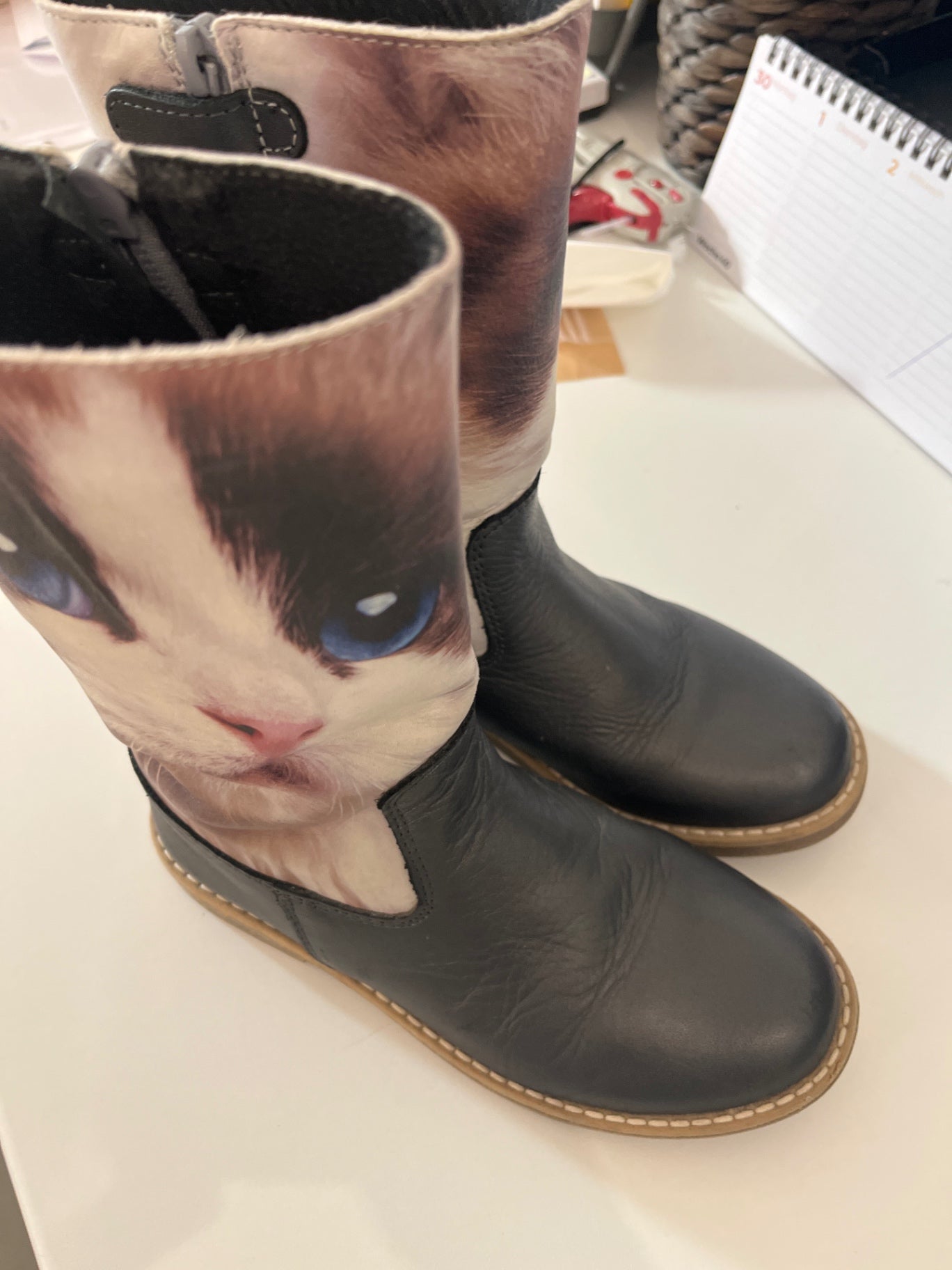 Wild Stiefel Grau Katze
