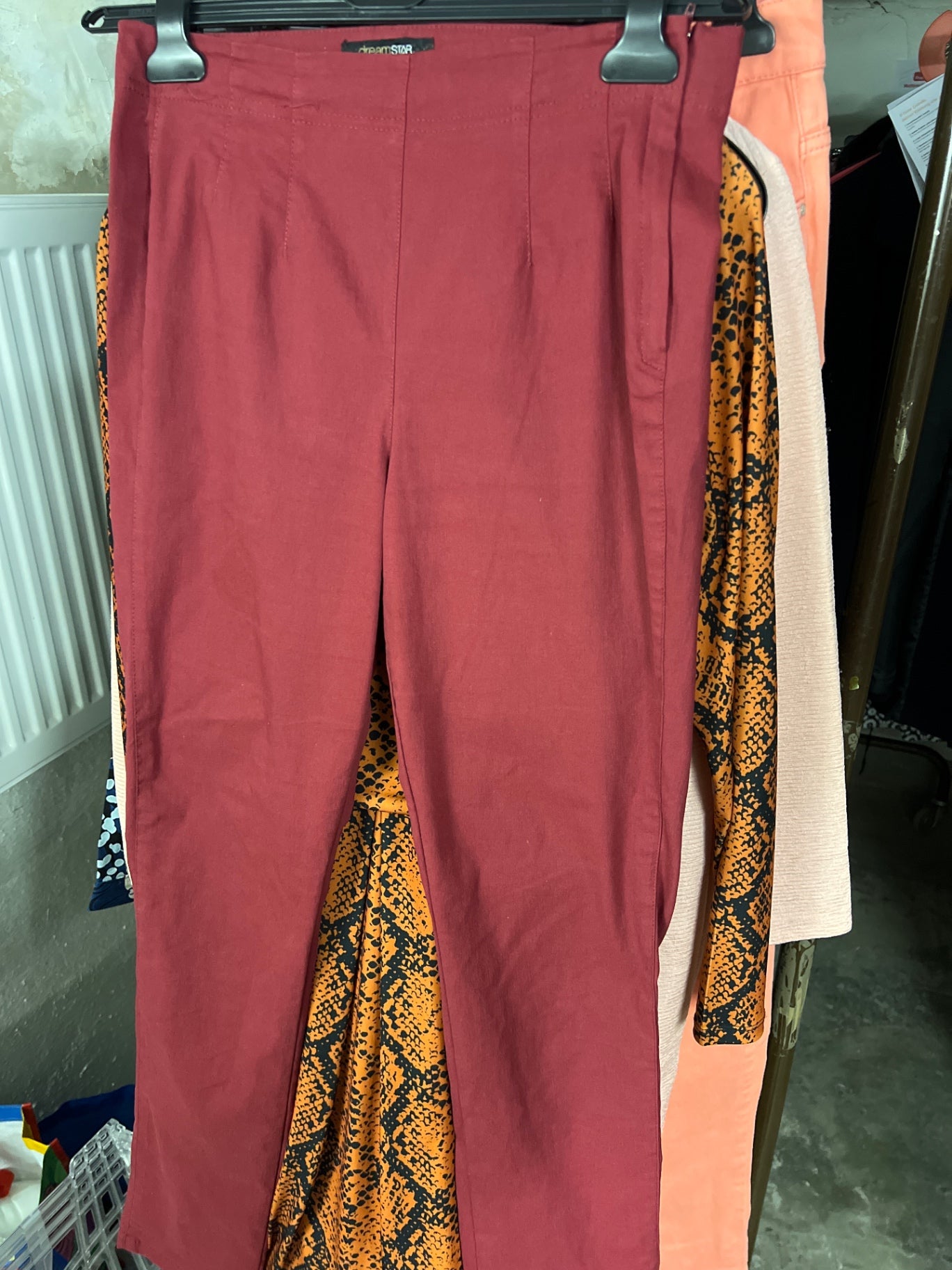 Dreamstar Hose Rot