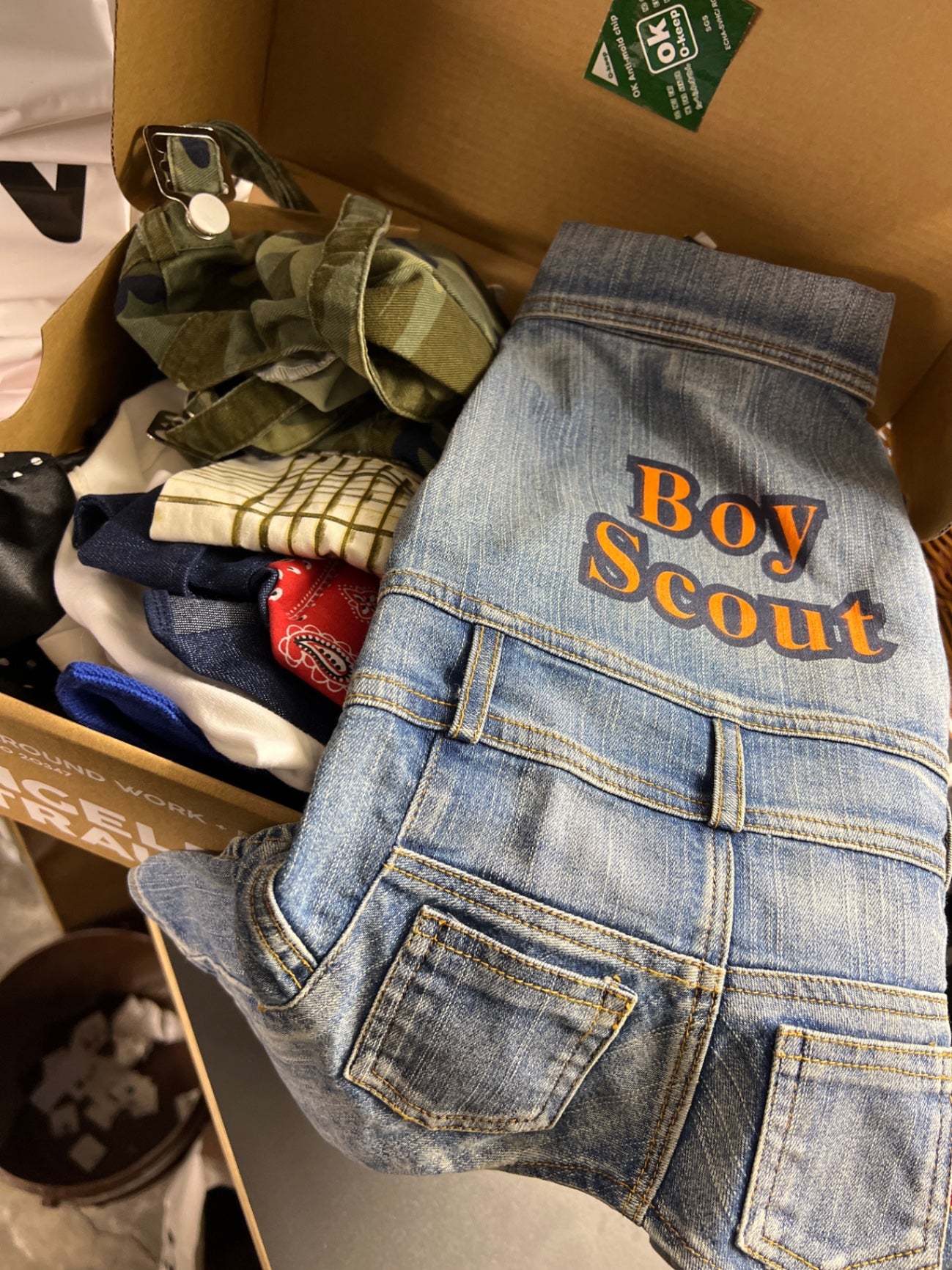 Hundekleidung / Kostüm