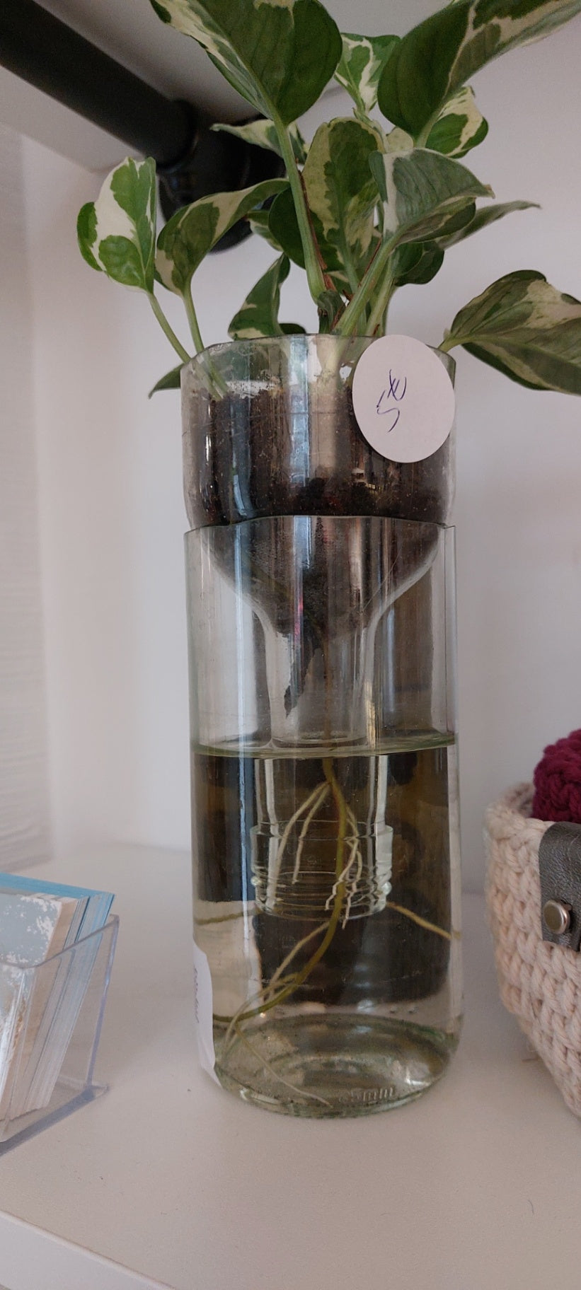 DL Pflanzflasche