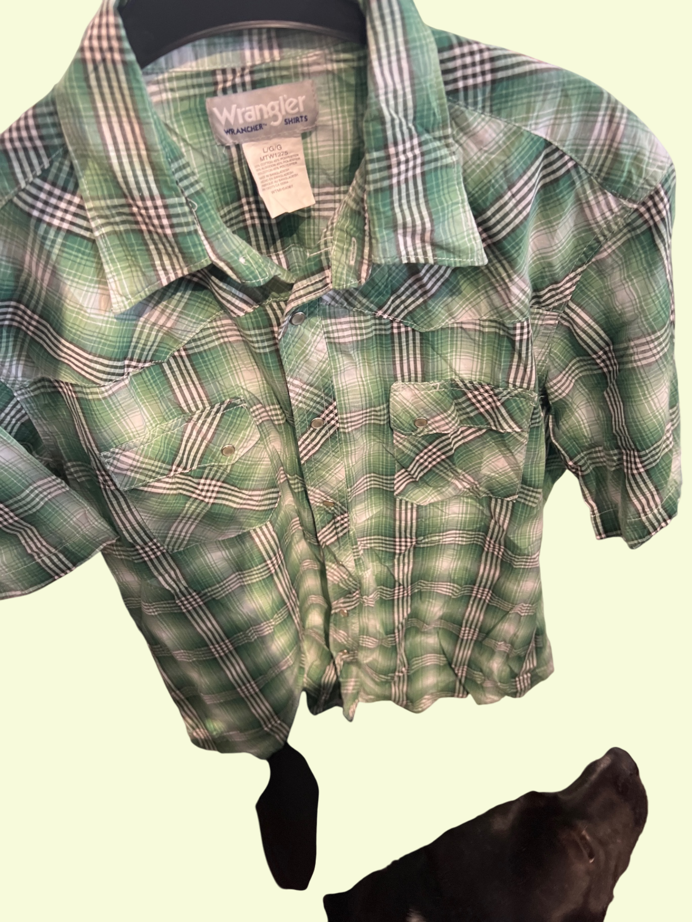 Wrangler Hemd Grün Gr.: M