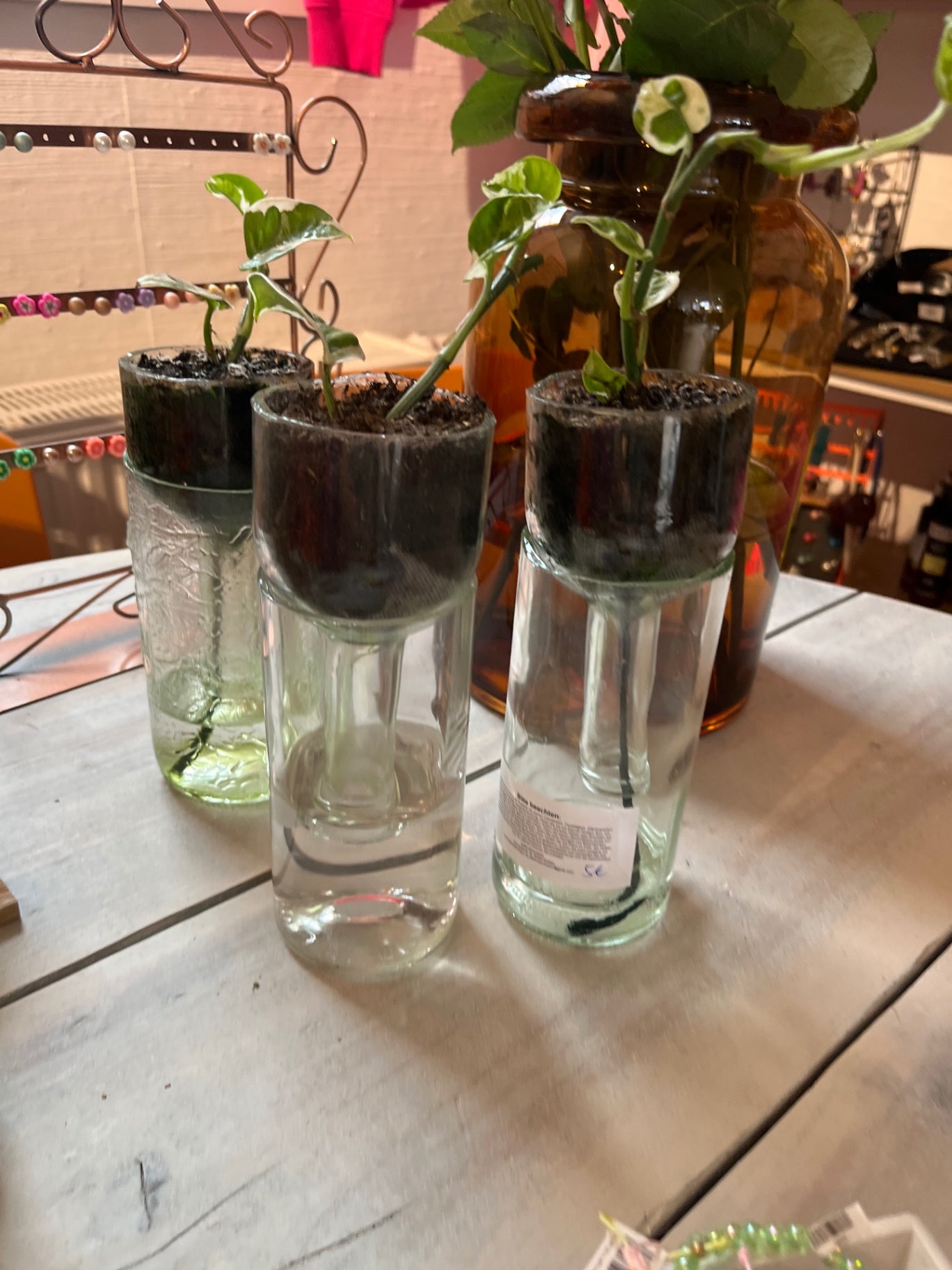  Pflanzflasche