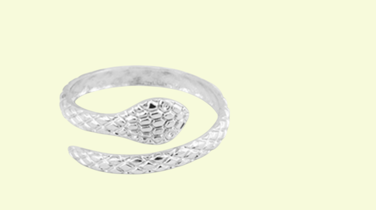 Ring Schlange