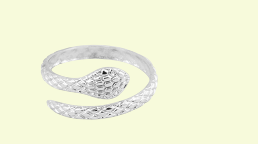 Ring Schlange