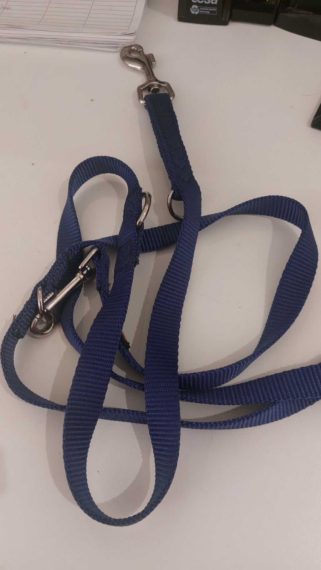 TRIXIE Leine Blau 