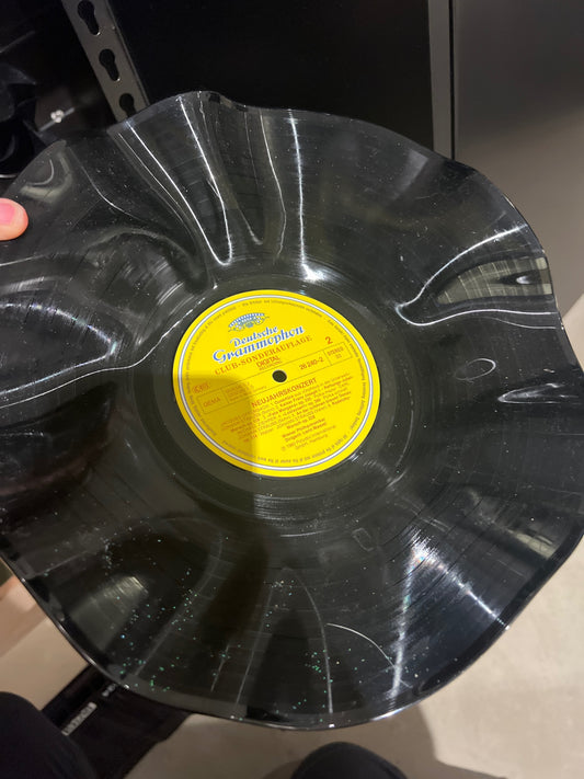 Corvus Luna Schallplatten Schüssel