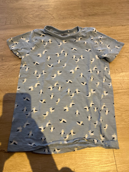 Topomini T-Shirt Blau möwen Gr.: 98