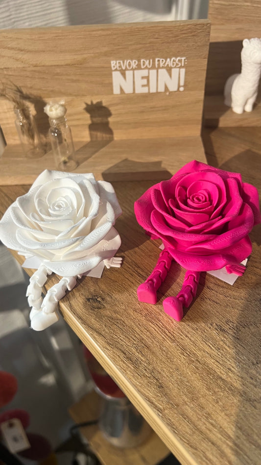 DEKOLABOR Rose 